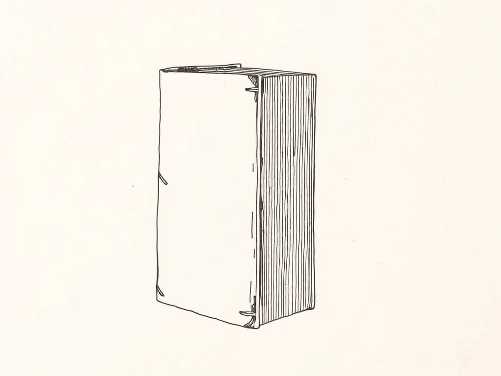 Casey Reas & Ben Fry Processing: A Programming Handbook illustration